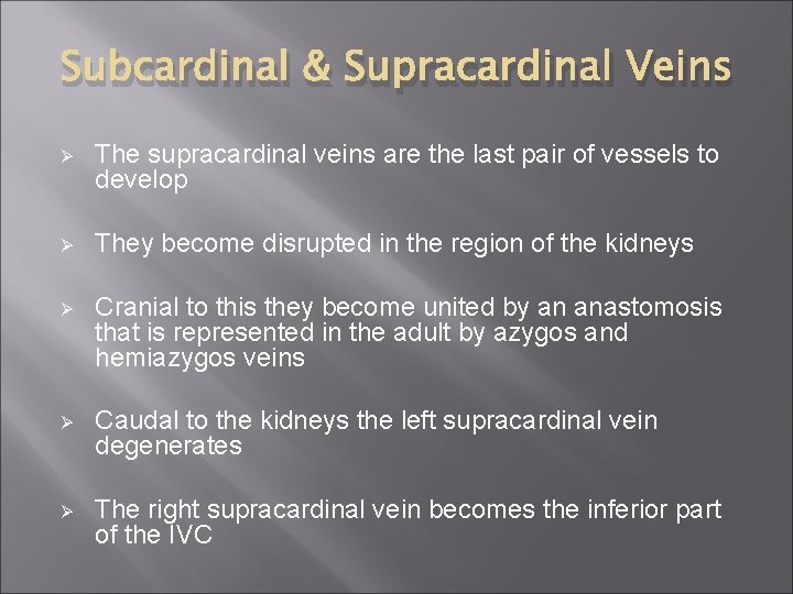 Subcardinal & Supracardinal Veins Ø The supracardinal veins are the last pair of vessels