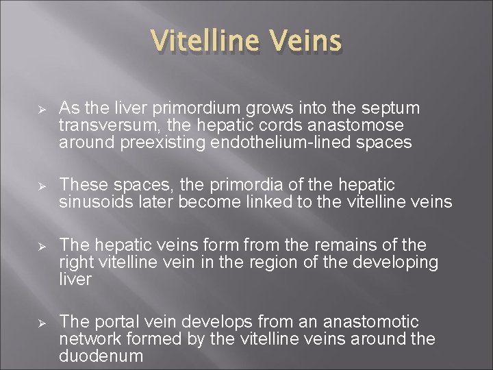 Vitelline Veins Ø As the liver primordium grows into the septum transversum, the hepatic
