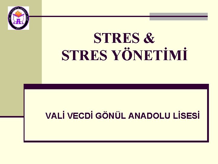 STRES & STRES YÖNETİMİ VALİ VECDİ GÖNÜL ANADOLU LİSESİ 