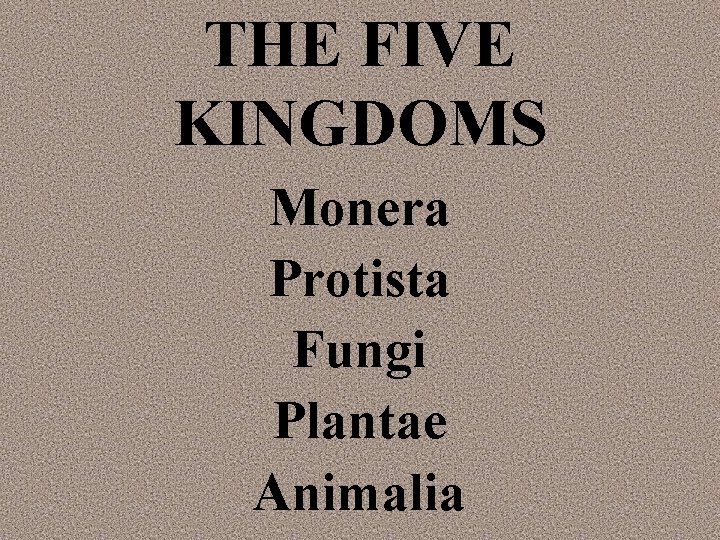 THE FIVE KINGDOMS Monera Protista Fungi Plantae Animalia 