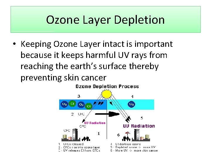Ozone Layer Depletion • Keeping Ozone Layer intact is important because it keeps harmful