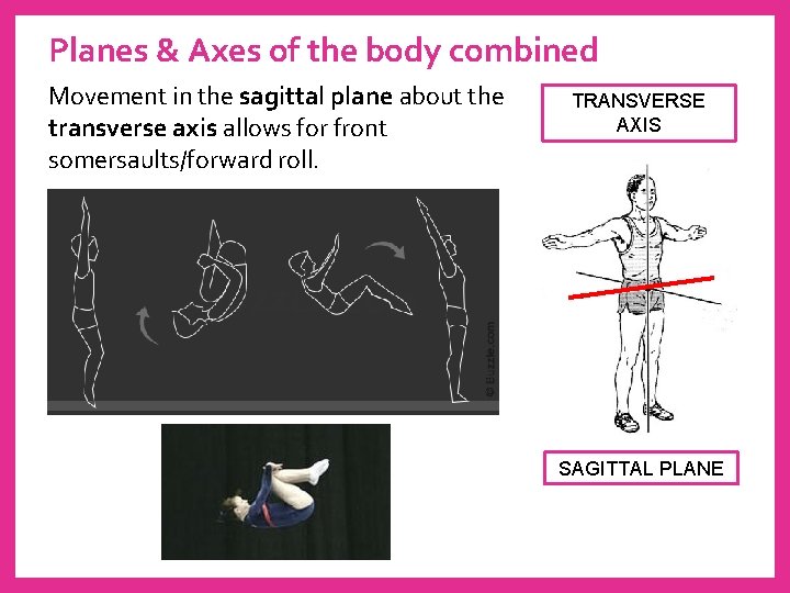 Planes & Axes of the body combined Movement in the sagittal plane about the