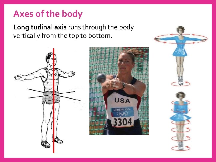 Axes of the body Longitudinal axis runs through the body vertically from the top