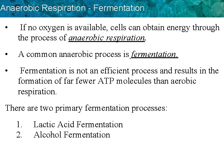 Anaerobic Respiration - Fermentation • If no oxygen is available, cells can obtain energy