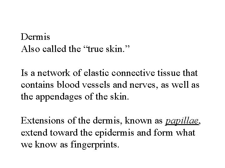 Dermis Also called the “true skin. ” Is a network of elastic connective tissue