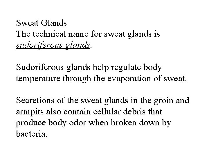 Sweat Glands The technical name for sweat glands is sudoriferous glands. Sudoriferous glands help