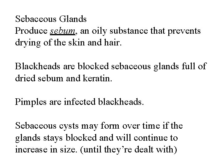 Sebaceous Glands Produce sebum, an oily substance that prevents drying of the skin and