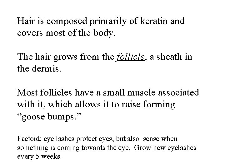 Hair is composed primarily of keratin and covers most of the body. The hair