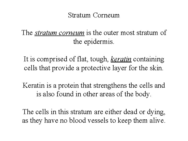 Stratum Corneum The stratum corneum is the outer most stratum of the epidermis. It