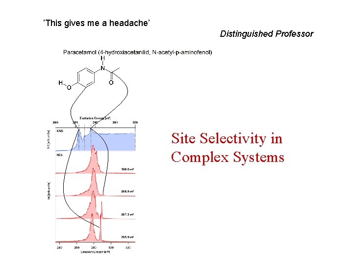 ’This gives me a headache’ Distinguished Professor Site Selectivity in Complex Systems 