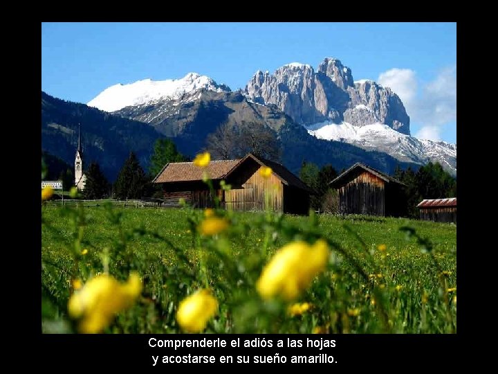 Comprenderle el adiós a las hojas y acostarse en su sueño amarillo. 