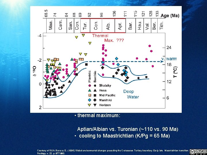  • thermal maximum: Aptian/Albian vs. Turonian (~110 vs. 90 Ma) • cooling to