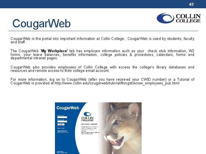 43 Cougar. Web is the portal into important information at Collin College. Cougar. Web