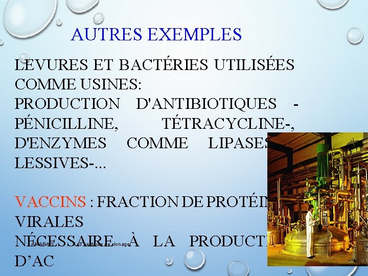 AUTRES EXEMPLES LEVURES ET BACTÉRIES UTILISÉES COMME USINES: PRODUCTION D'ANTIBIOTIQUES PÉNICILLINE, TÉTRACYCLINE-, D'ENZYMES COMME