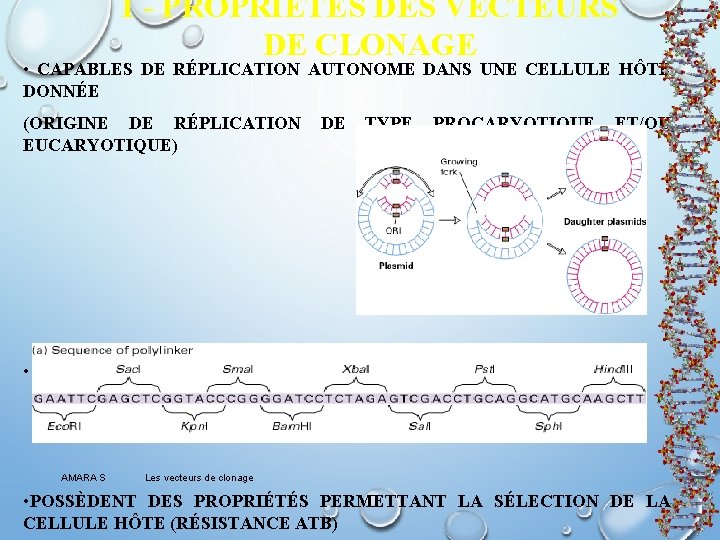 I - PROPRIÉTÉS DES VECTEURS DE CLONAGE • CAPABLES DE RÉPLICATION AUTONOME DANS UNE