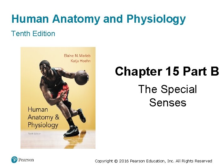 Human Anatomy and Physiology Tenth Edition Chapter 15 Part B The Special Senses Copyright