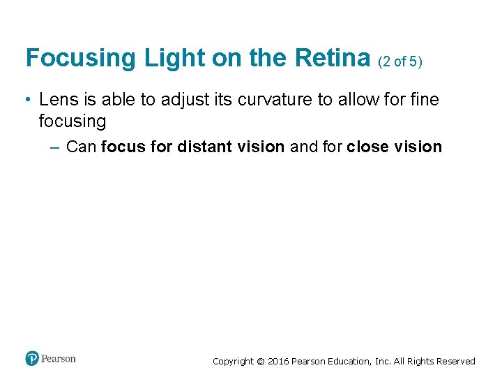 Focusing Light on the Retina (2 of 5) • Lens is able to adjust