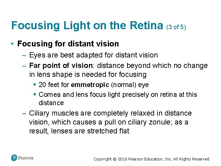 Focusing Light on the Retina (3 of 5) • Focusing for distant vision –