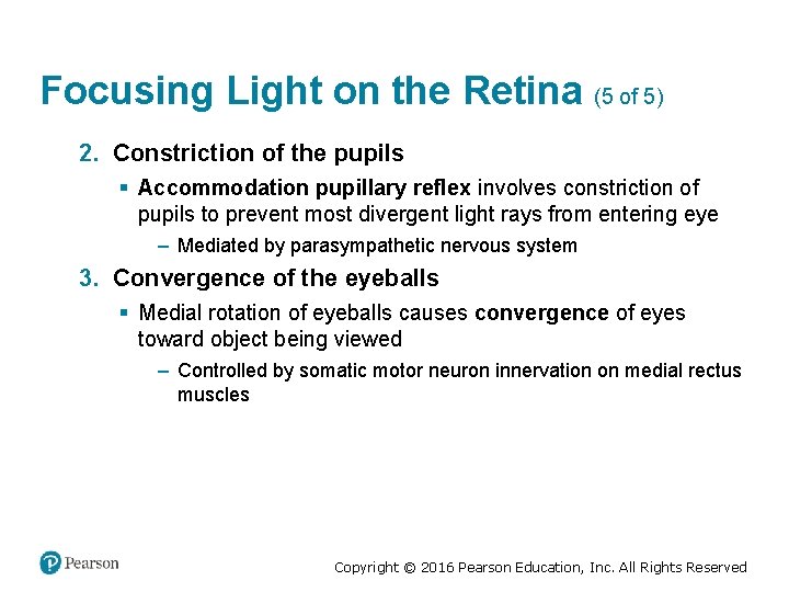 Focusing Light on the Retina (5 of 5) 2. Constriction of the pupils §