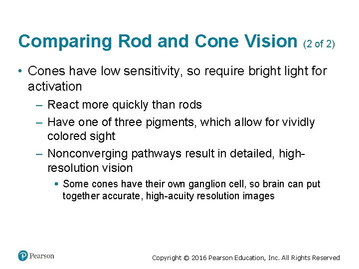 Comparing Rod and Cone Vision (2 of 2) • Cones have low sensitivity, so