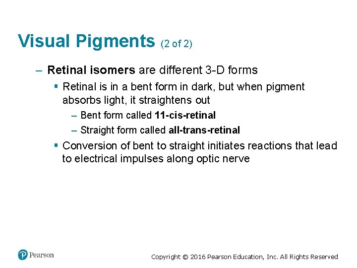 Visual Pigments (2 of 2) – Retinal isomers are different 3 -D forms §