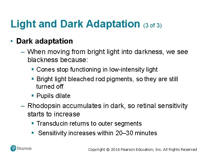 Light and Dark Adaptation (3 of 3) • Dark adaptation – When moving from