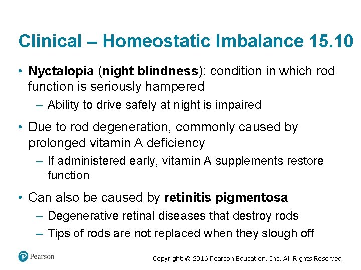 Clinical – Homeostatic Imbalance 15. 10 • Nyctalopia (night blindness): condition in which rod