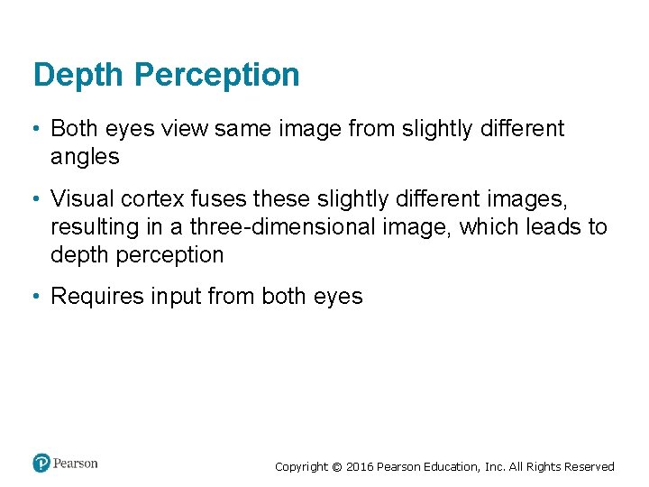 Depth Perception • Both eyes view same image from slightly different angles • Visual