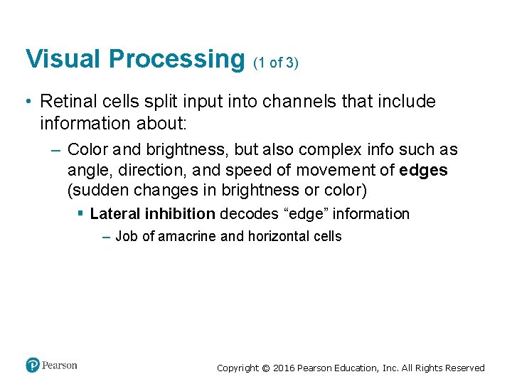 Visual Processing (1 of 3) • Retinal cells split input into channels that include