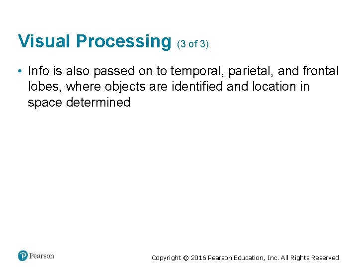 Visual Processing (3 of 3) • Info is also passed on to temporal, parietal,