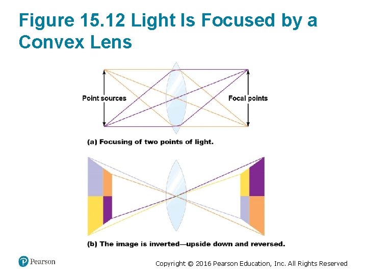 Figure 15. 12 Light Is Focused by a Convex Lens Copyright © 2016 Pearson