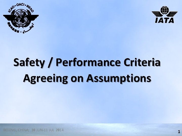 Safety / Performance Criteria Agreeing on Assumptions BEIJING, CHINA; 30 JUN-11 JUL 2014 1