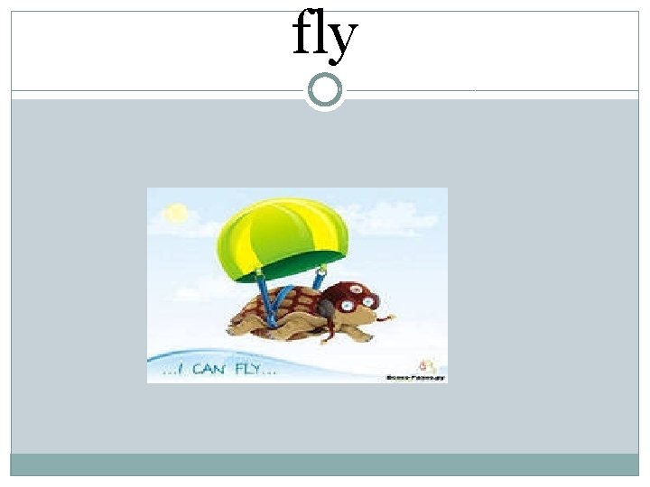 fly 