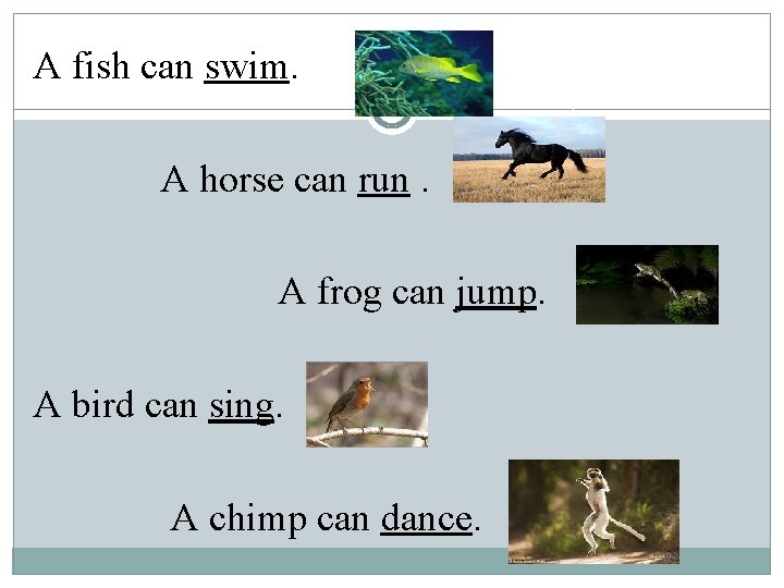 A fish can swim. A horse can run. A frog can jump. A bird