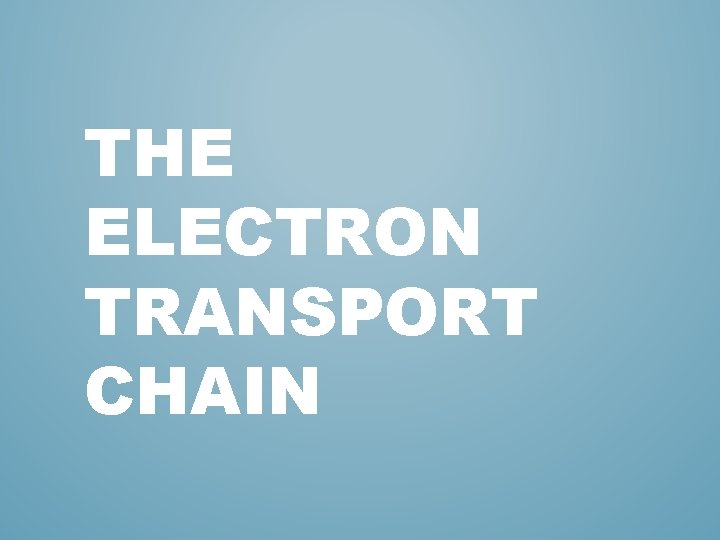 THE ELECTRON TRANSPORT CHAIN 