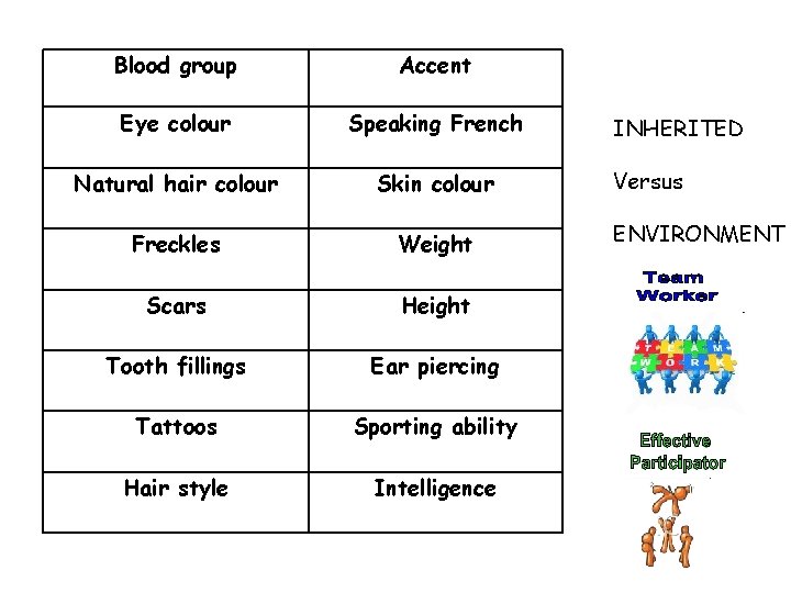 Blood group Accent Eye colour Speaking French Natural hair colour Skin colour Freckles Weight