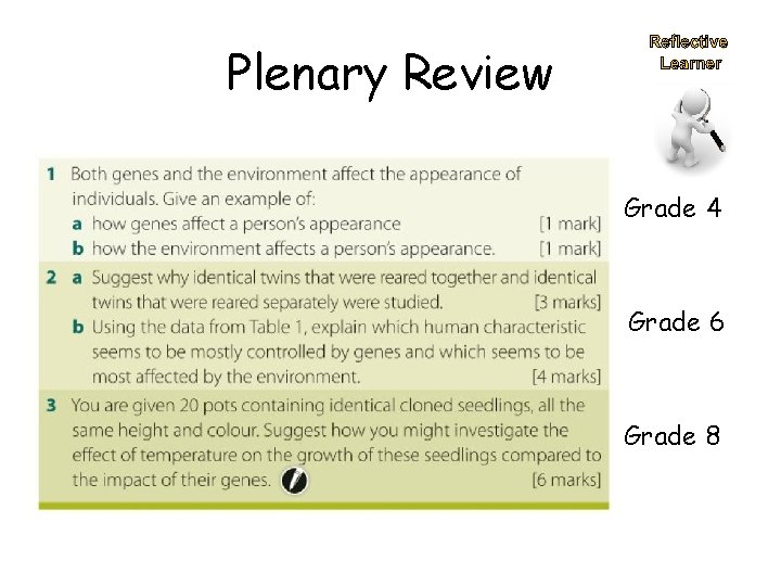 Plenary Review Grade 4 Grade 6 Grade 8 