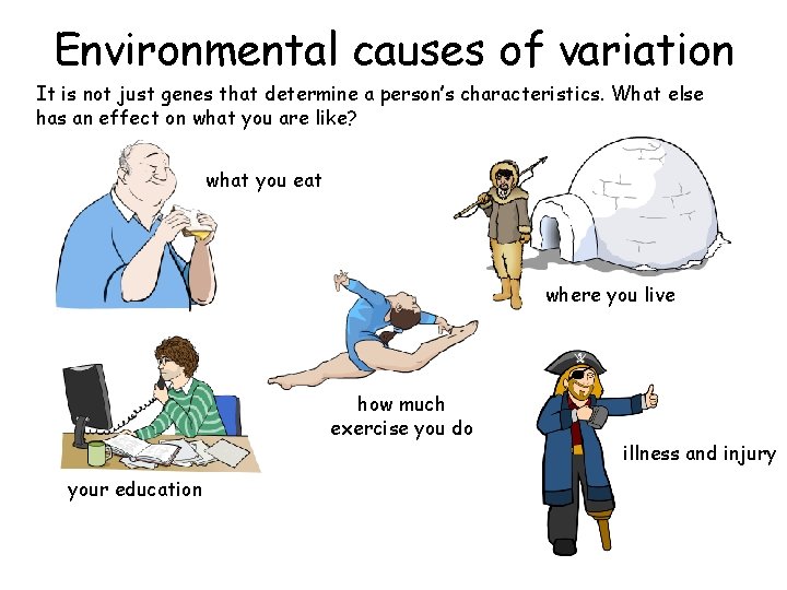 Environmental causes of variation It is not just genes that determine a person’s characteristics.