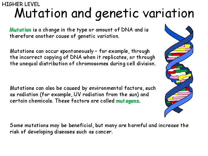 HIGHER LEVEL Mutation and genetic variation Mutation is a change in the type or