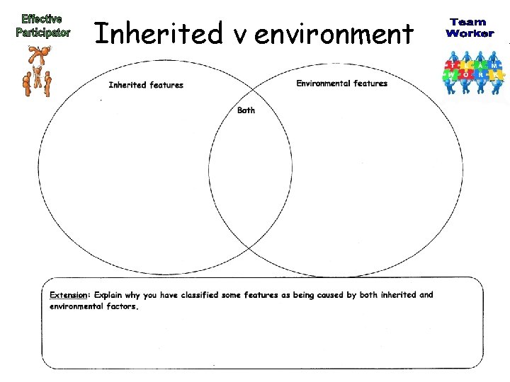 Inherited v environment 