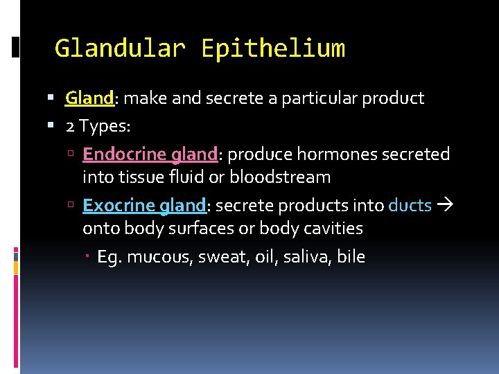 Glandular Epithelium Gland: make and secrete a particular product 2 Types: Endocrine gland: produce Glandular Epithelium Gland: make and secrete a particular product 2 Types: Endocrine gland: produce