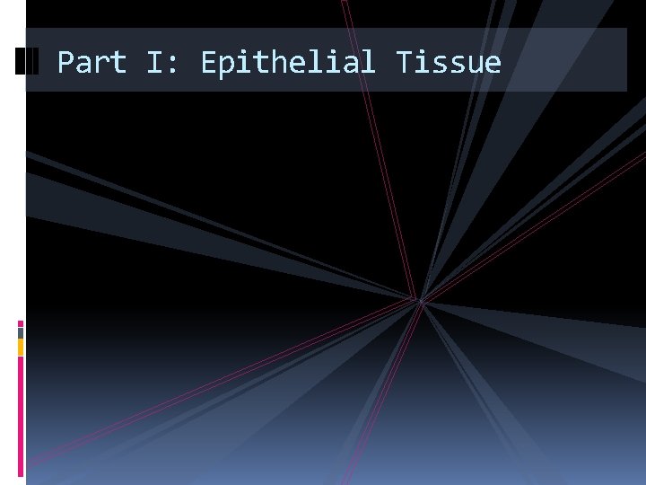 Part I: Epithelial Tissue Part I: Epithelial Tissue