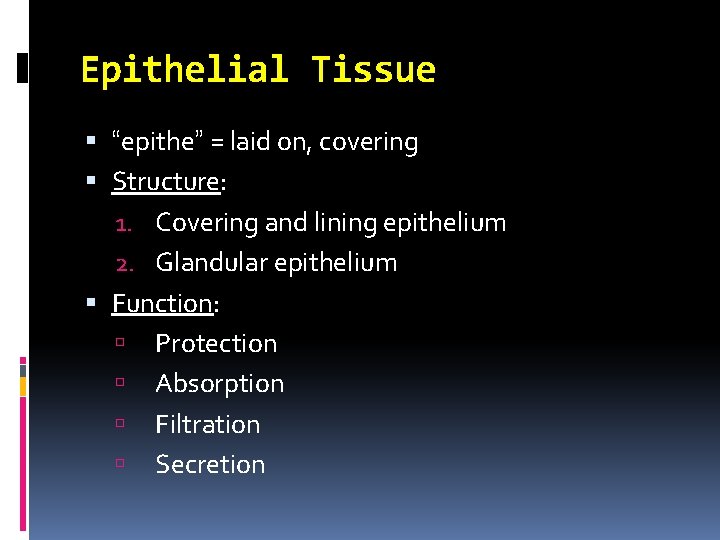 Epithelial Tissue “epithe” = laid on, covering Structure: 1. Covering and lining epithelium 2. Epithelial Tissue “epithe” = laid on, covering Structure: 1. Covering and lining epithelium 2.