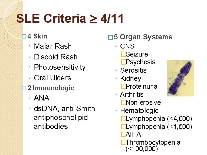 SLE Criteria 4/11 � 4 ◦ ◦ � 2 Skin Malar Rash Discoid Rash SLE Criteria 4/11 � 4 ◦ ◦ � 2 Skin Malar Rash Discoid Rash