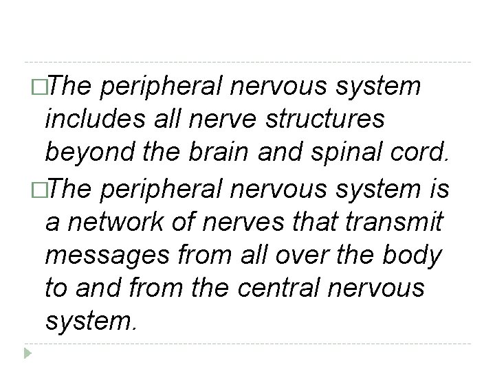 �The peripheral nervous system includes all nerve structures beyond the brain and spinal cord.