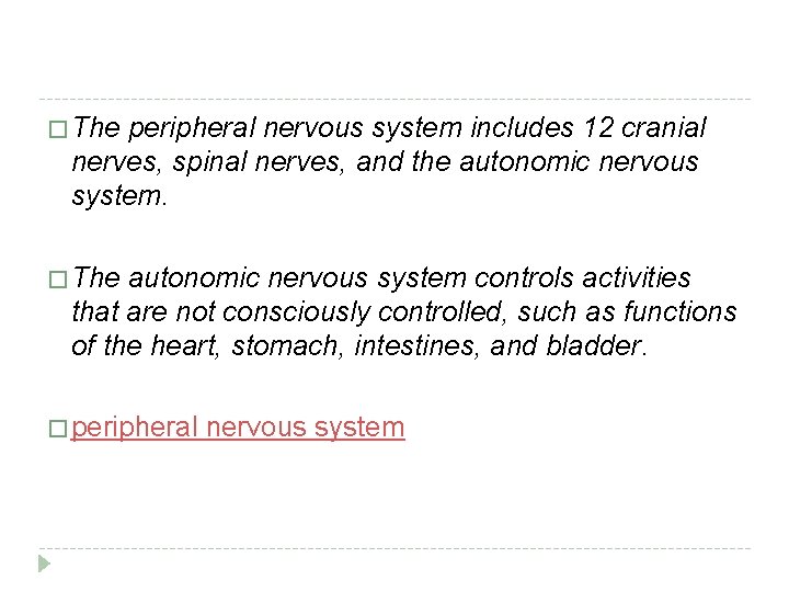 � The peripheral nervous system includes 12 cranial nerves, spinal nerves, and the autonomic