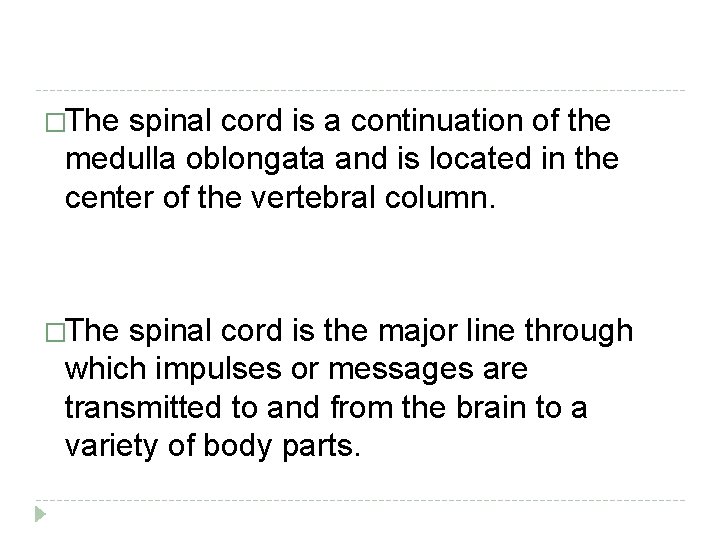 �The spinal cord is a continuation of the medulla oblongata and is located in