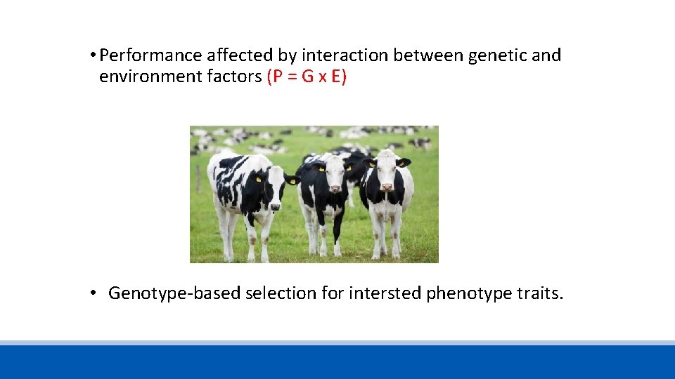  • Performance affected by interaction between genetic and environment factors (P = G