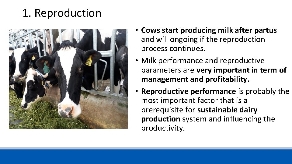 1. Reproduction • Cows start producing milk after partus and will ongoing if the