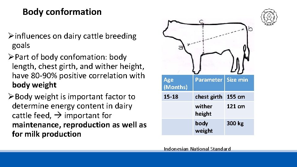 Body conformation Øinfluences on dairy cattle breeding goals ØPart of body confomation: body length,
